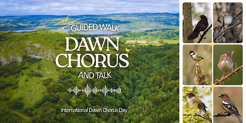 Dawn Chorus Walk (International Dawn Chorus Day)