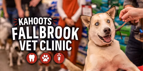 Low Stress Vet Clinic & Teeth Cleaning