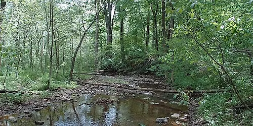 Backwoods Survival for Hunters and Hikers