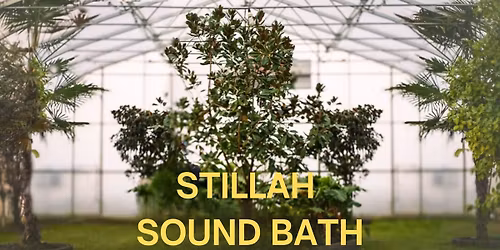 Stillah Sound Bath | A Land-Led Sound Journey at Kinnikinnick