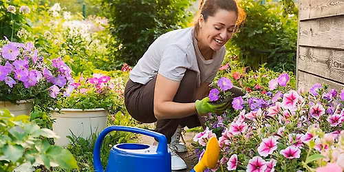 Summer Garden Sessions