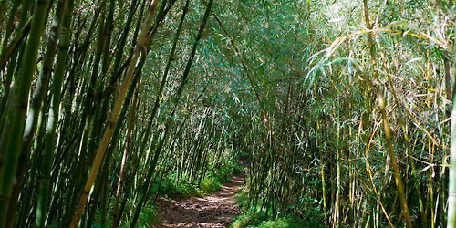 Hikemaniak Elephant Hill Hike