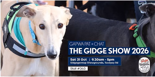 GAPWA Pat + Chat at The Gidge Show