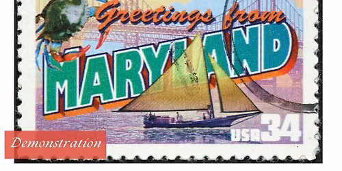 Maryland Crab House Favorites