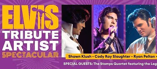 Elvis Tribute Artist Spectacular Birthday Tour - Rockford