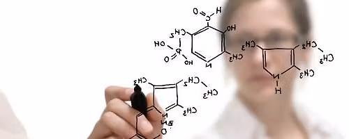 November Chapter Meeting and Officer Installation