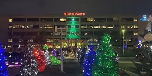 Holzer in Lights Community Trees