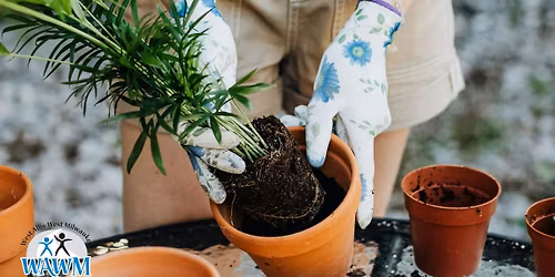 Fantastic Family Nights: Plant-A-Pot