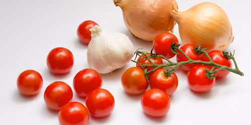 The Art of Seed Starting: Planting Tomatoes & Onions