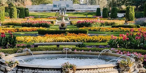 Spring Plant Sale