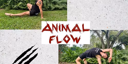 Animal Flow