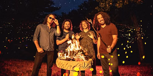 Pigeons Playing Ping Pong
