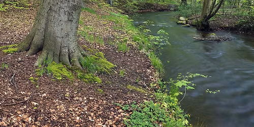K\u00e6re politikere \u2013 hvad med naturen, drikkevandet og iltsvindet?