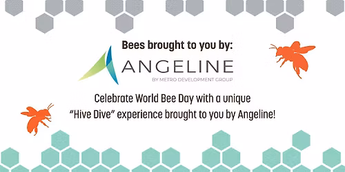 Introducing the Angeline Bee Experience: Hive Dive Launch