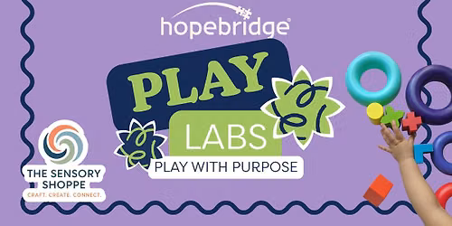 Free Play Labs: Play with Purpose