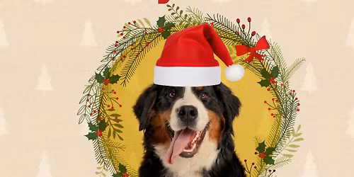 Galveston\u2019s Secret Santa Gift Exchange form Pets