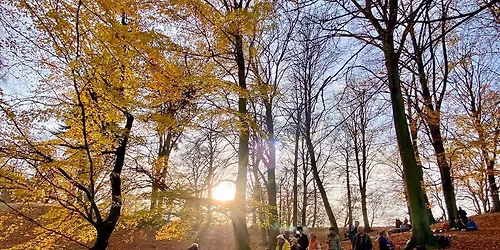 Hoppe i blade dag 2025