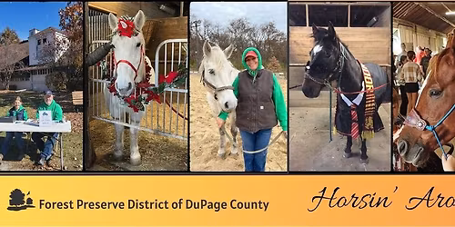 Horsin' Around Day: Harvest Social