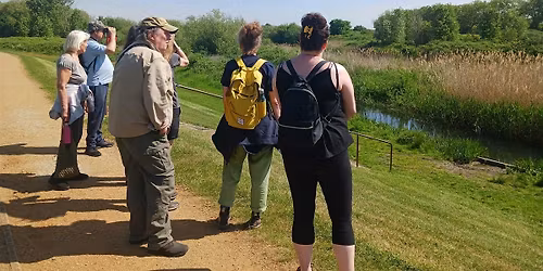 Active Maldon Wellbeing Walk:  Tollesbury Wick