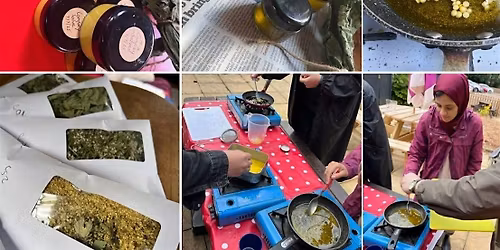 Herbal Medicine Course (Family friendly)