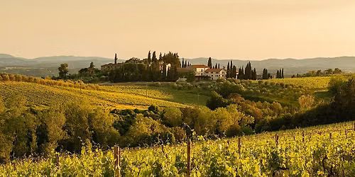Uncorked: Tour of Barolo