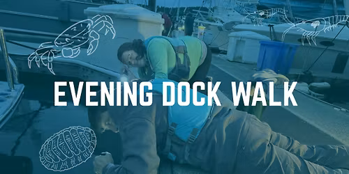 Evening Dock Walk