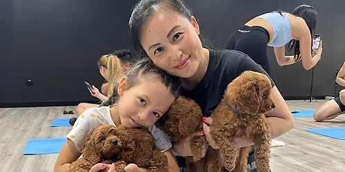 Puppy Yoga Sydney - Hurstville