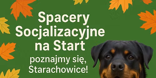 Spacer socjalizacyjny - poznajmy si\u0119 STARACHOWICE
