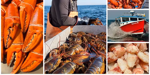 ATLANTIC RED CRAB CLAW! Starting $9.99lb! LIVE MAINE LOBSTER Starting $11.99lb! Fresh off the Boat!