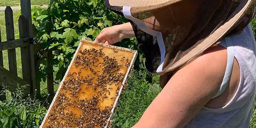 Complete Beekeeping Course Fall
