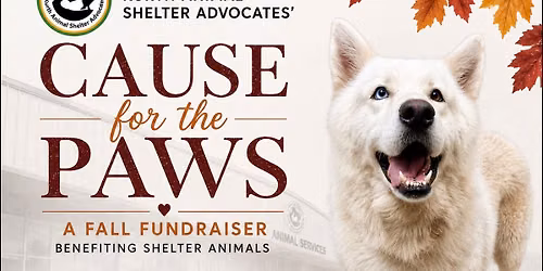 KASA\u2019s Cause for the Paws