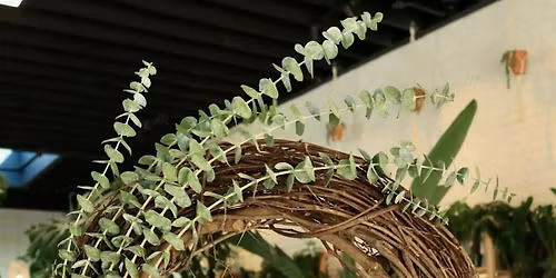 Air Plant Wreath Workshop