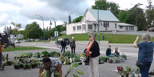 Spring Plant Sale 2026