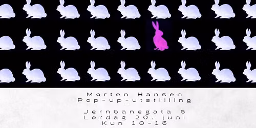 Morten Hansen - Pop-Up Utstilling