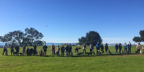 Community Pack Walk: Benicia