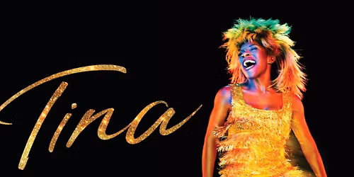 Tina Turner Tribute Night 