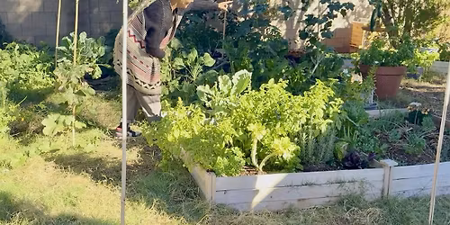 Organic Cooperative and Urban Agriculture Field Day