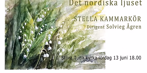 Det nordiska ljuset