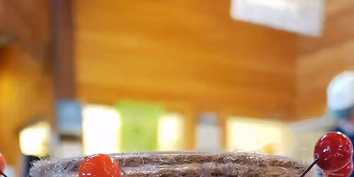 Coastal Crafts Series