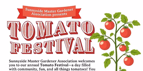 Tomato Festival