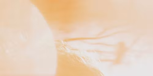 EXPERIMONTAG: Felix-Florian T\u00f6dtloff + Edvina Fahlqvist + SurfSolaire (DJ-Set)