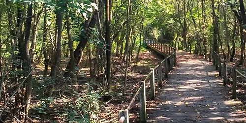 Heritage Park Restoration Work Day