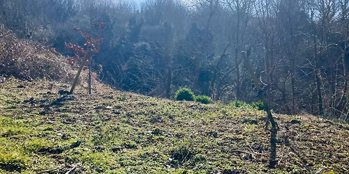 Annual General Meeting followed by Local Plan Discussion