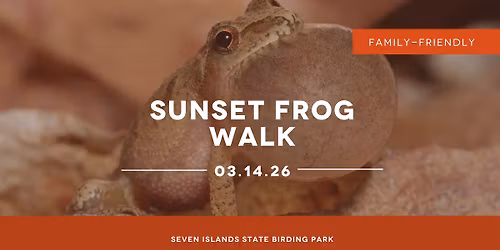 Sunset Frog Walk