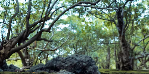 Alpha Whores (+ support: Strawberry Jam), Berlin @ Neue Zukunft (Garage)