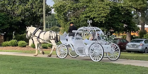Private Carriage Rides - A Dickens Holiday - The Campbellton Carriage