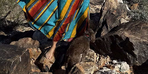 Meditation & Movement Workshop