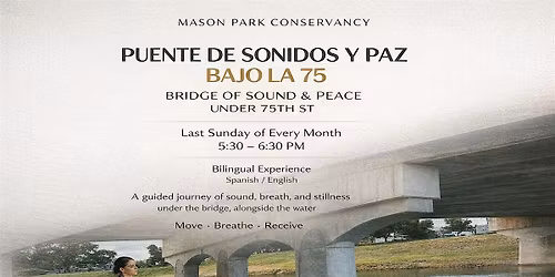 Mason park - Puente de sonidos y paz - bajo la 75- Bridge of Sounds & Peace