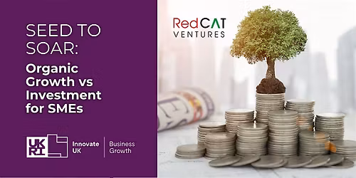 Seed to Soar - Funding for Growing Businesses