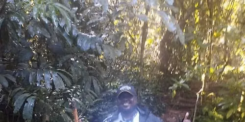 Gorilla \ud83e\udd8d Trekking Uganda Experience 